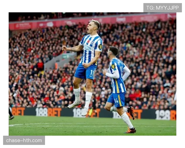 布莱顿激活转会窗,强势引援打造新阵容迎战英超 布莱顿激活转会窗,强势引援打造新阵容迎战英超